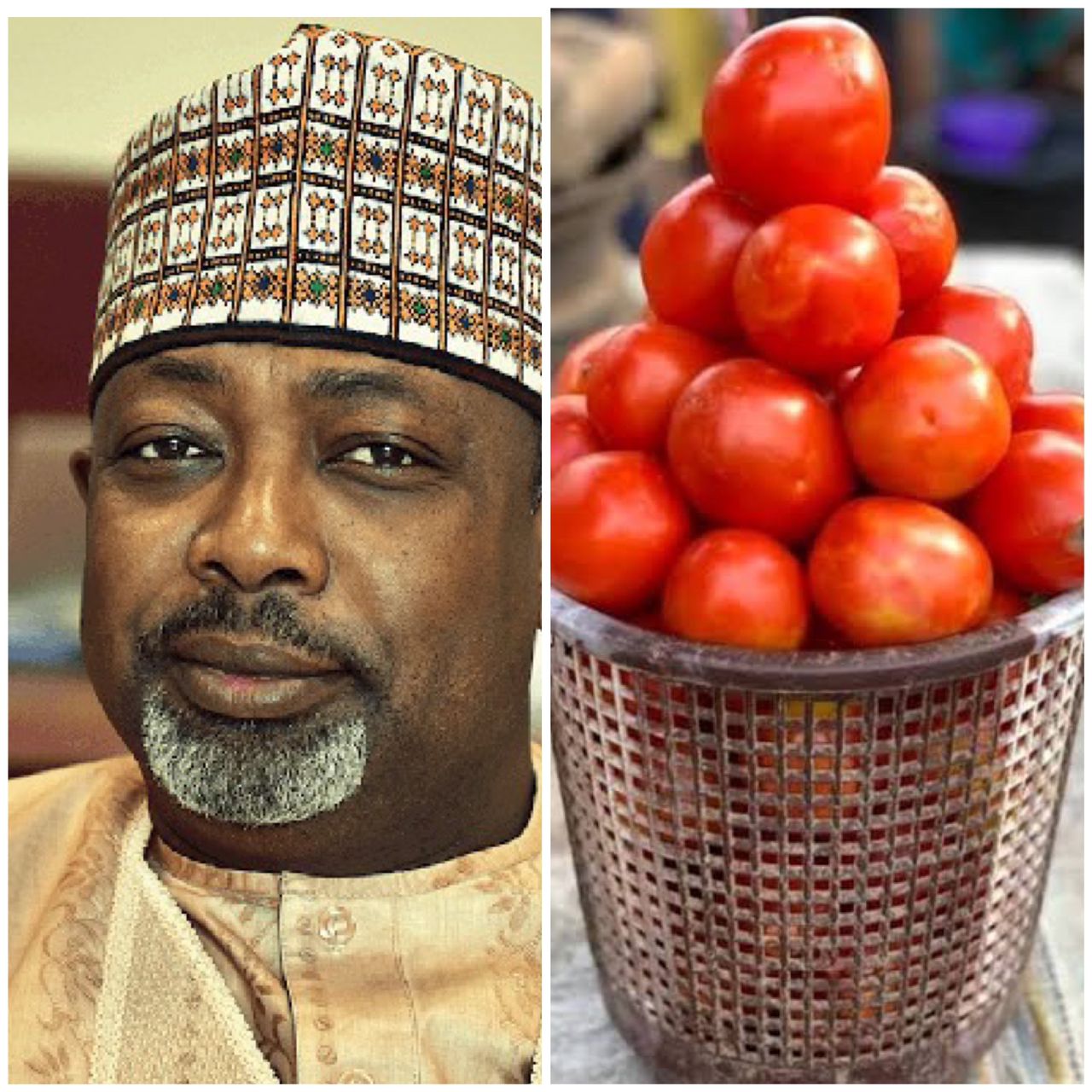 Rise in cost of tomato caused by farm infestation and scarcity ? Agric Minister, Abubakar Kyari