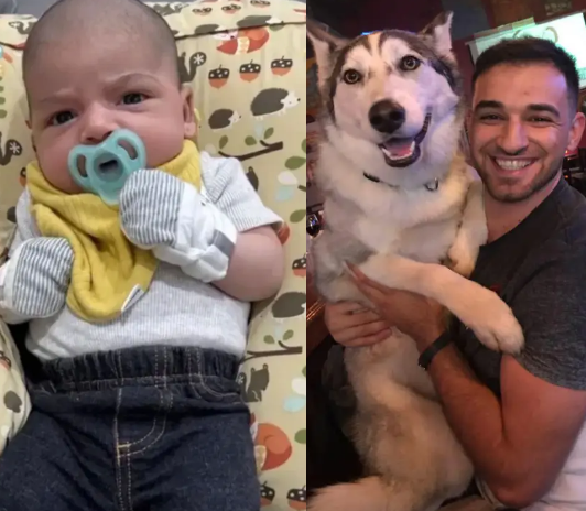 6-week-old baby mauled to death by family dog while sleeping in his crib